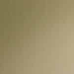 T22 Champagne / Platinum (USA) Nickel Hairline (USA)